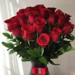 Meet your Posher, Eli